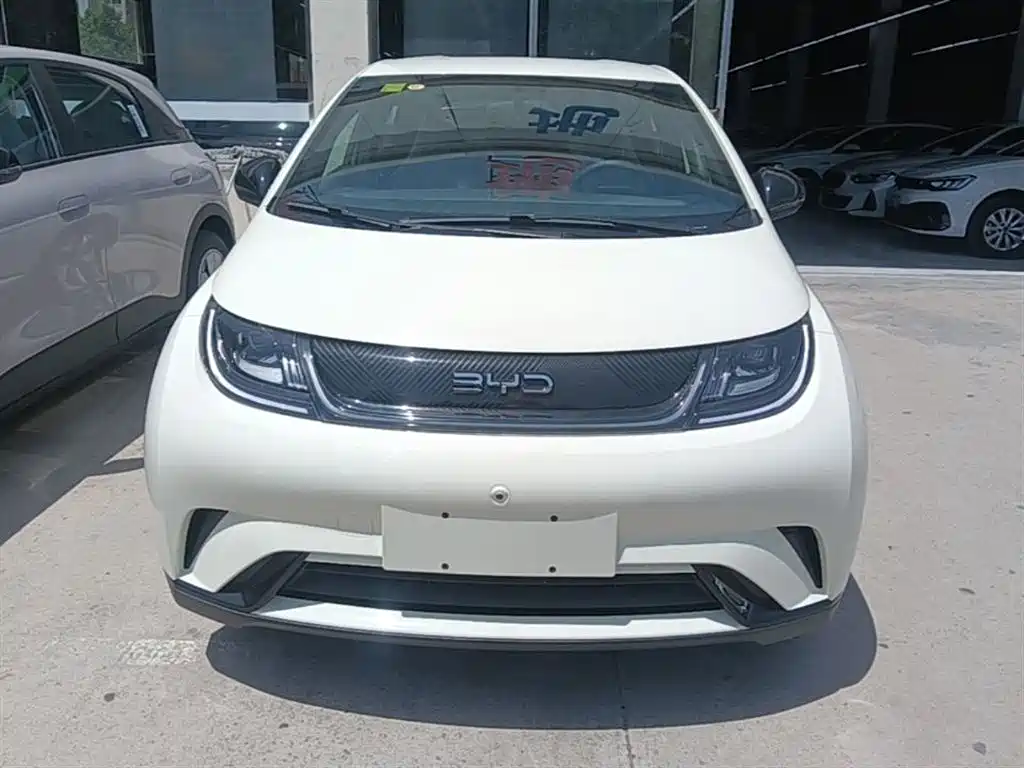 BYD Dolphin 2024 Glory Edition 420km Freedom Edition фото 3