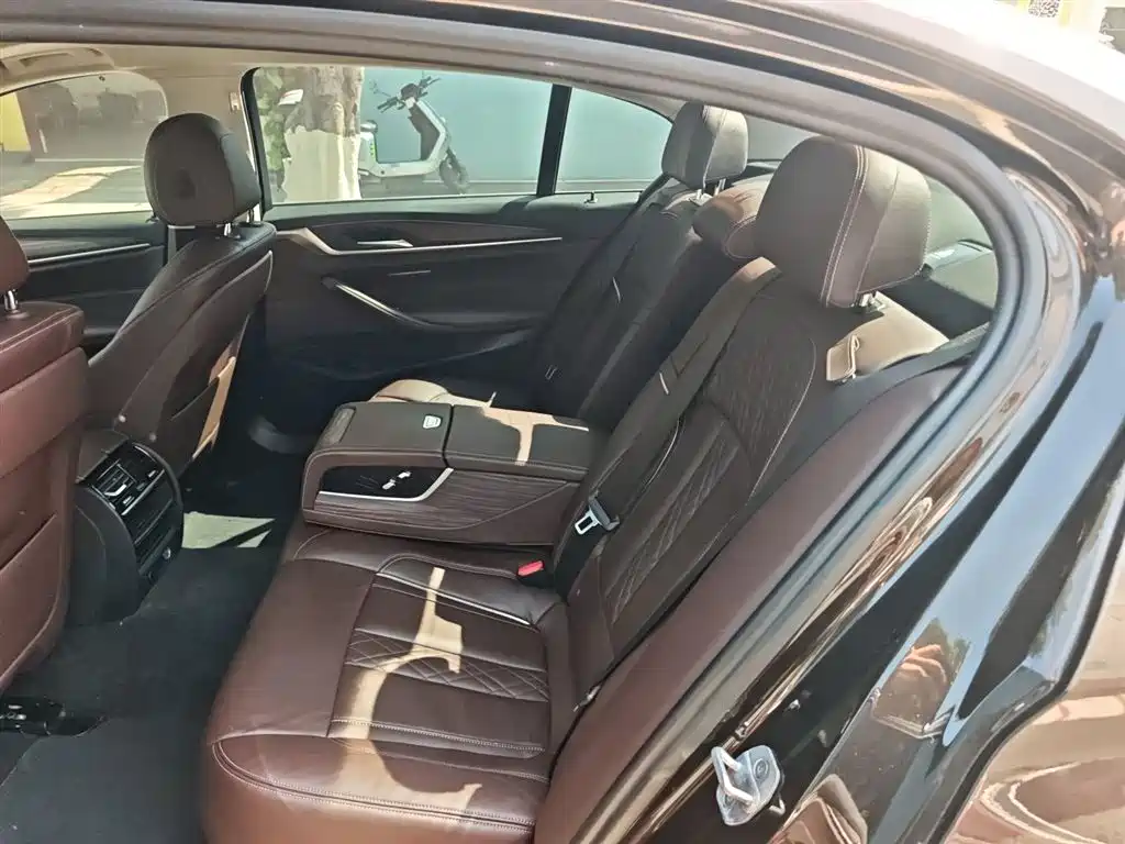 BMW 5 Series 2018 530Li Leading Luxury Package фото 13