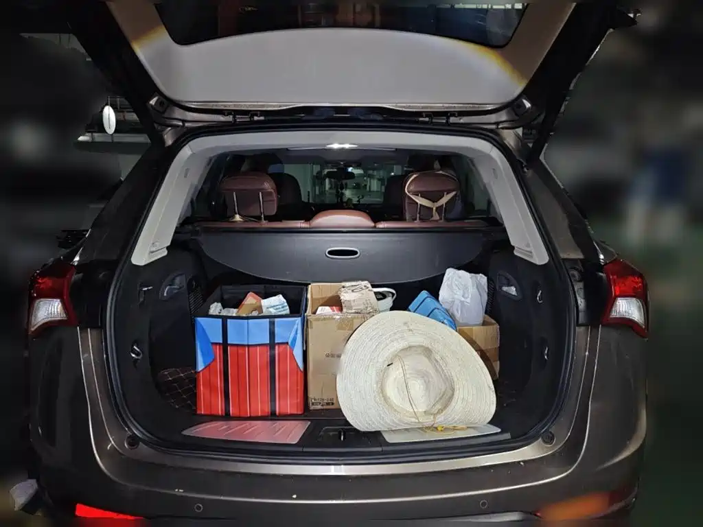 Buick Envision Plus 2018 28T 4WD Elite фото 10
