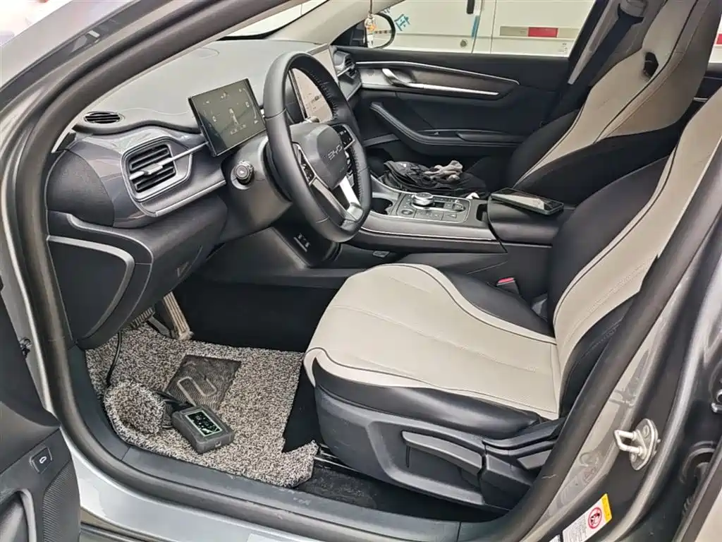 BYD Destroyer 05 2023 Champion Edition DM-i 55KM Luxury фото 15