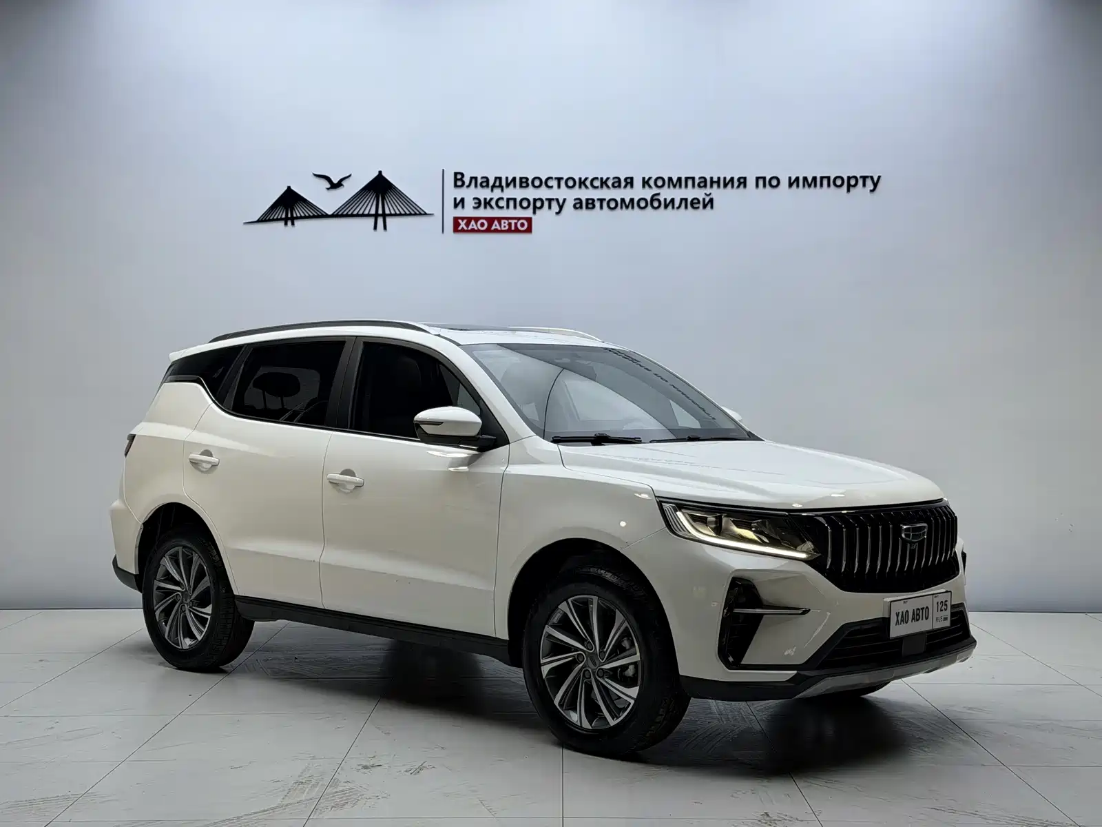 صورة 3 - Geely Emgrand X6
