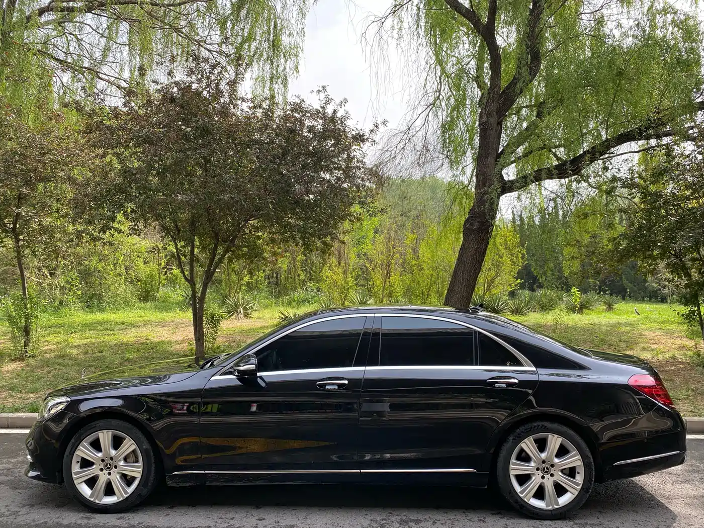 Mercedes-Benz S-Class 2019 S 450 L фото 3