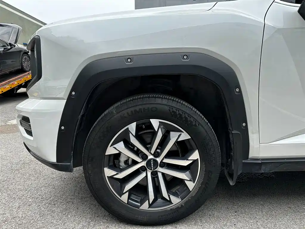 Haval Da Gou 2nd Gen 2024 2023 2.0T 2WD Trendy Off-road Edition