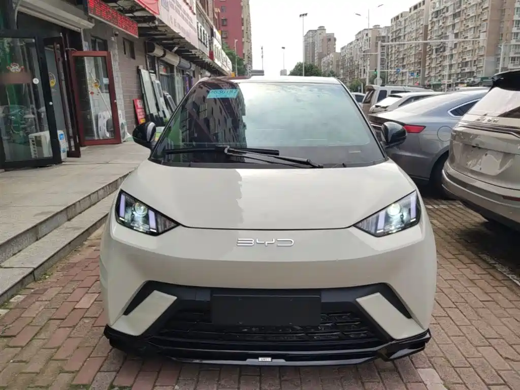 BYD Seagull 2023 Vitality Edition фото 3