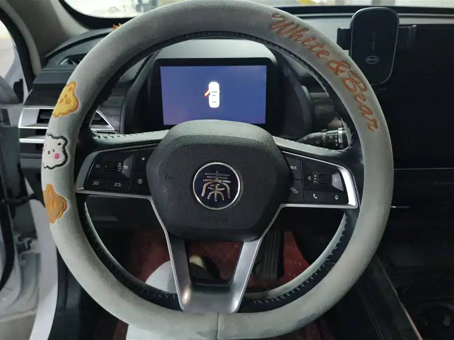 BYD Qin Pro New Energy 2018 DM 1.5TI Auto Smart Connect Premium фото 15