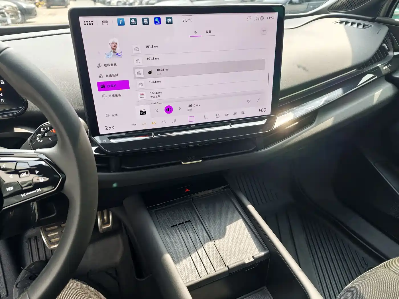 VOLKSWAGEN WITH THE CROWD 06