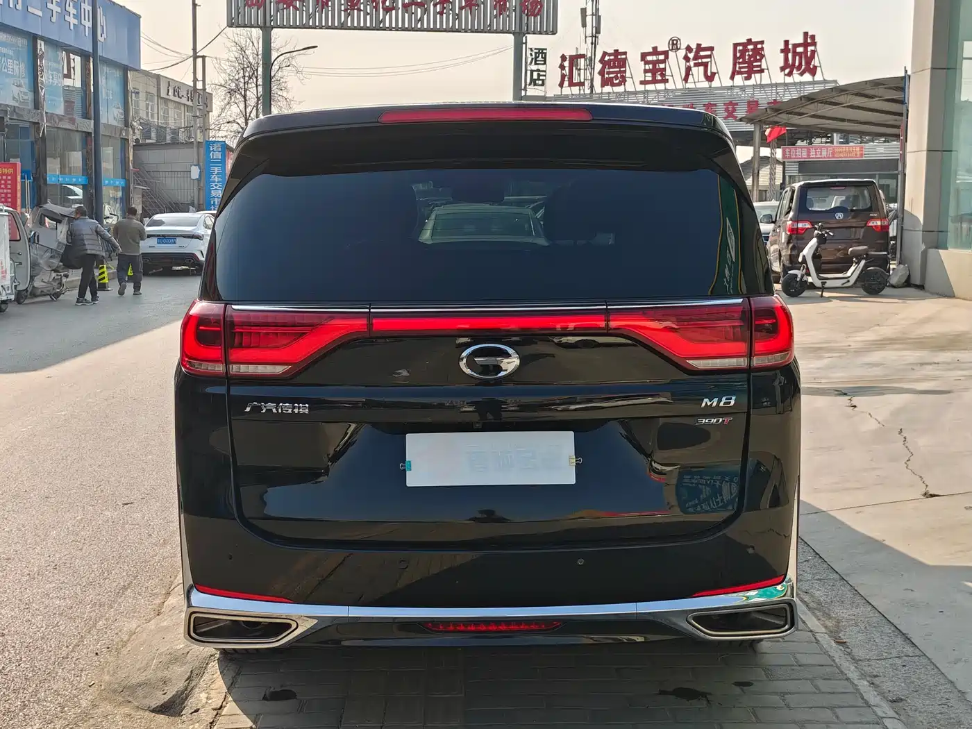GAC Trumpchi Trumpchi M8 2021 Leading Show Series 390T Ultimate Edition фото 15