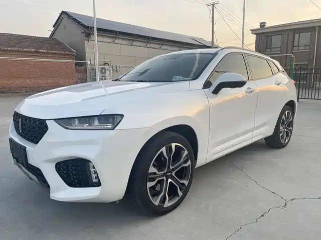 WEI PAI WEI BRAND VV7