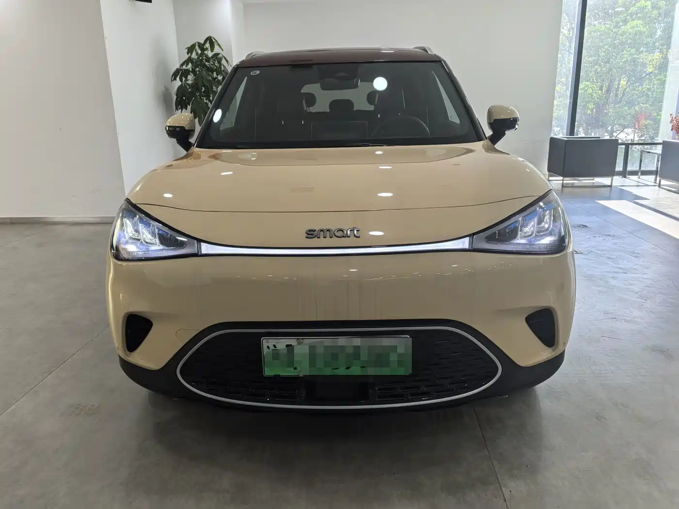 smart Elf #1 2025 2026 Agile New Luxury Edition