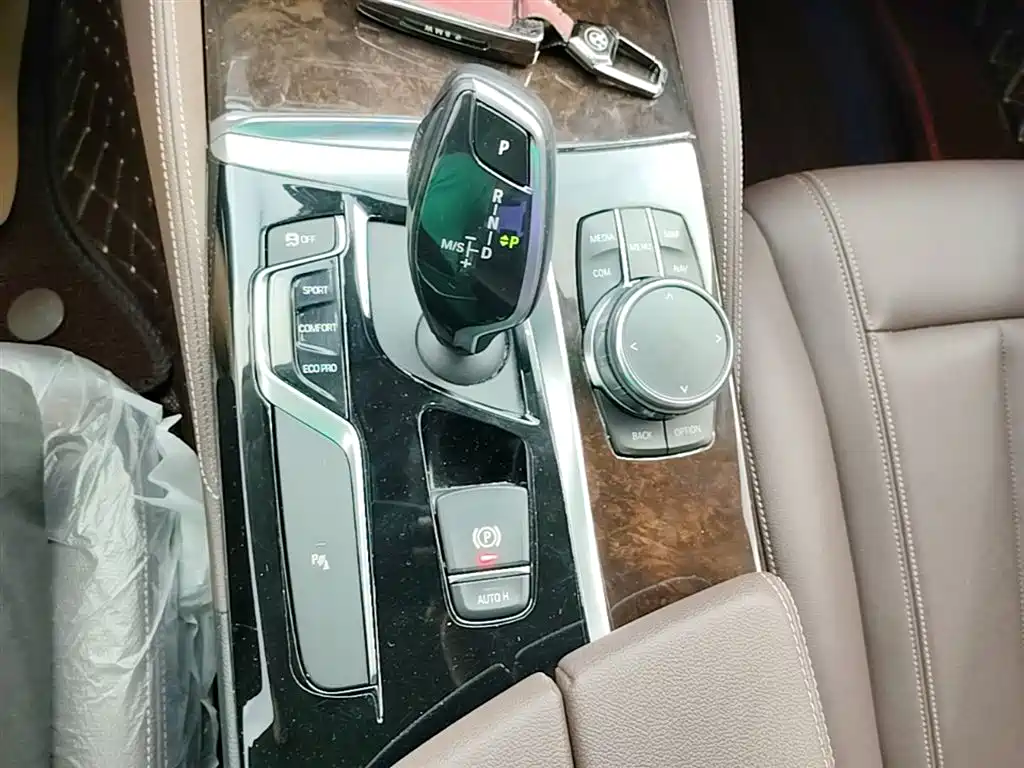 BMW 5 Series 2019 525Li Luxury Package фото 14