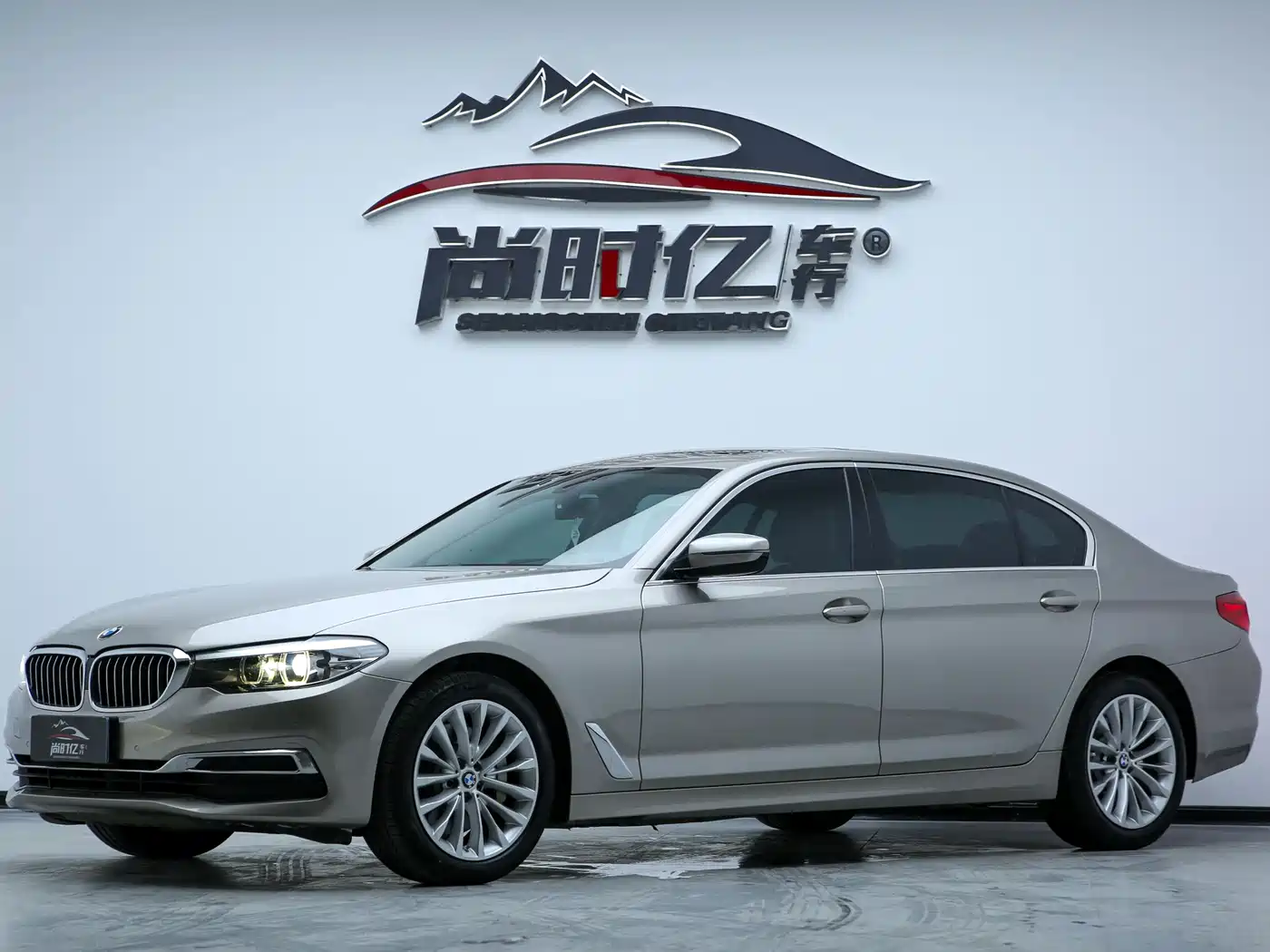 BMW 5 Series 2019 530Li Leading Luxury Package фото 2