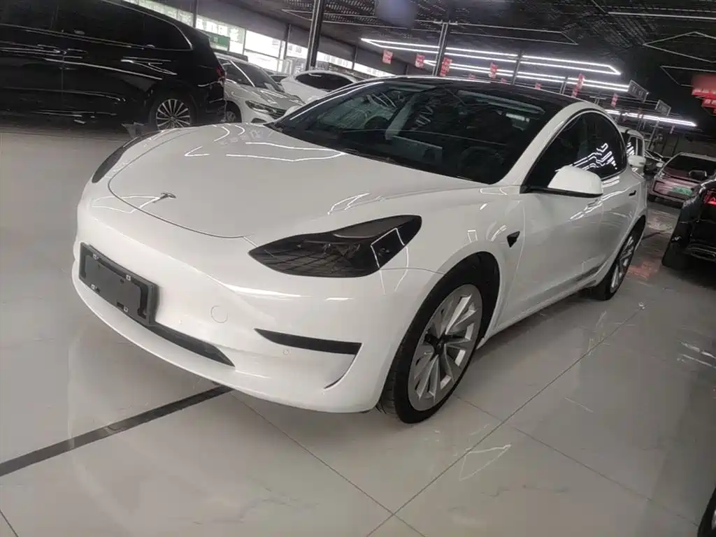 Tesla Model 3 2022 Model Rear-Wheel Drive Version