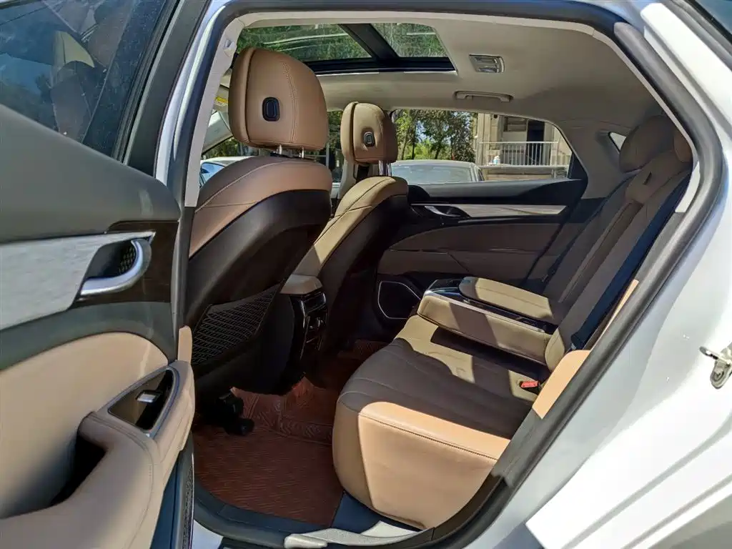 Geely Borui 2019 2020 1.5T MHEV Intelligent Edition