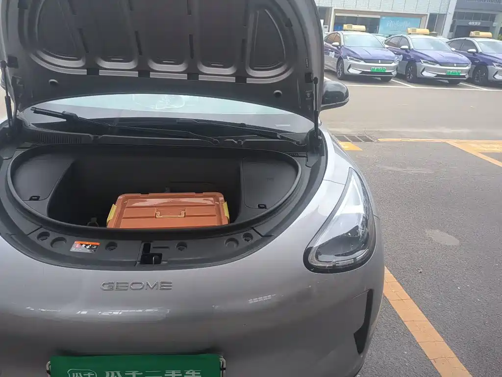 Geely Galaxy Starry Wish 2025 2025 310km Youth Edition