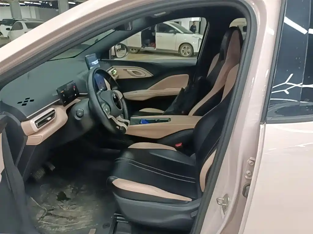 BYD Seagull 2023 Freedom Edition фото 15