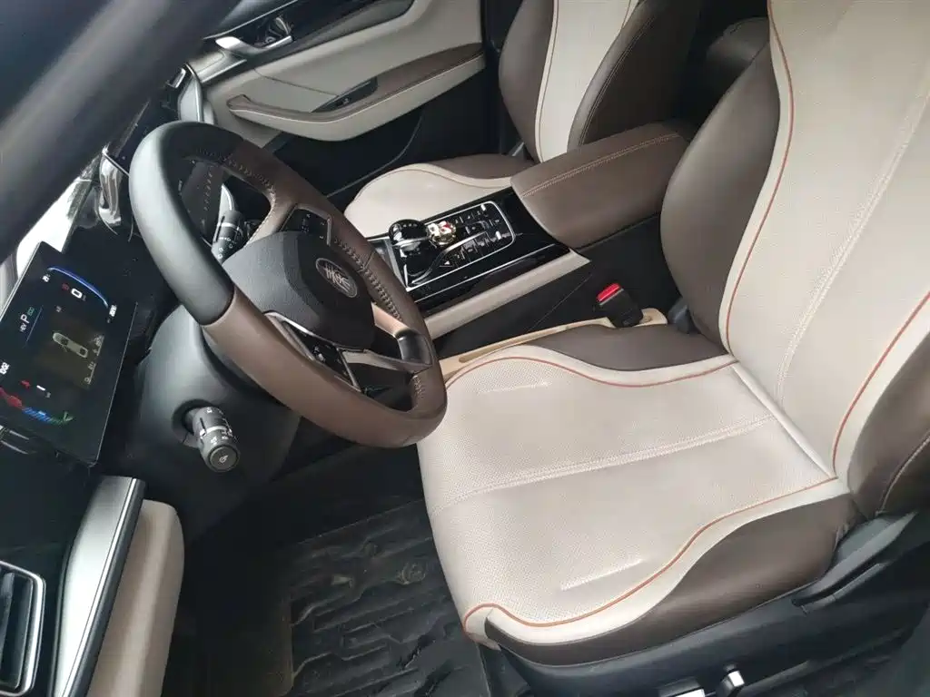 BYD Qin PLUS 2023 Champion Edition DM-i 120KM Leading Type фото 8
