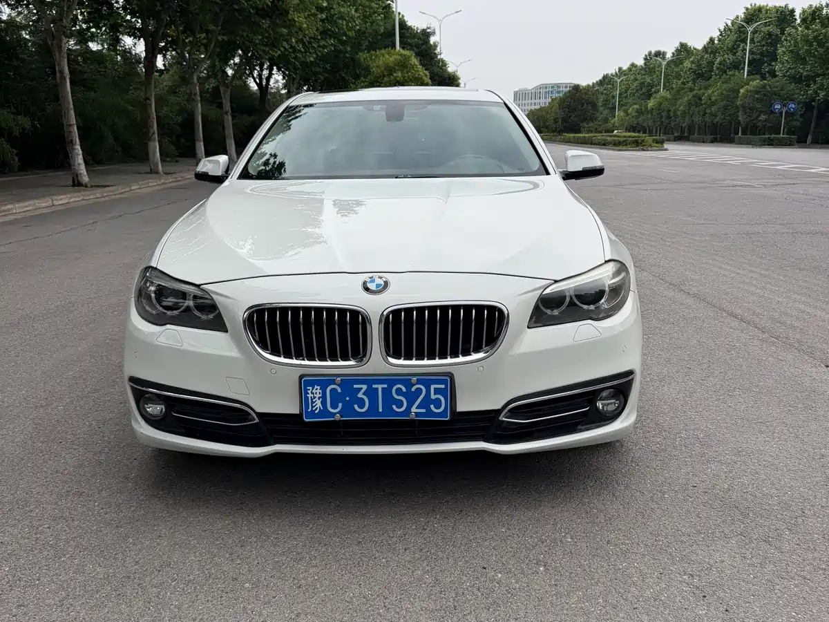 BMW 5 Series 2014 525Li Luxury Design Package фото 2