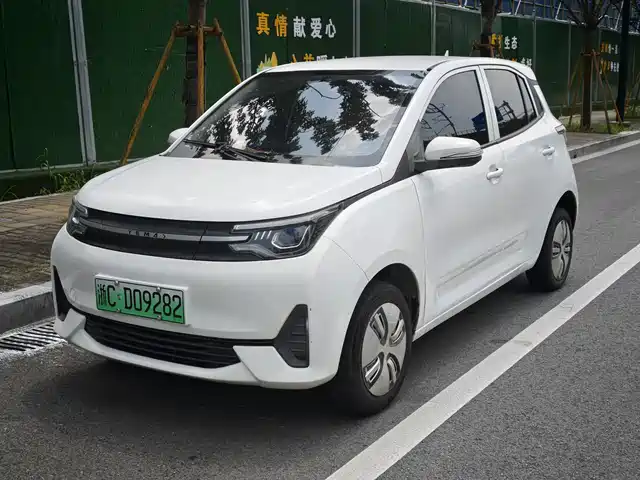  LeiDing Leiding Mango 2021 Funjoy Edition 200km