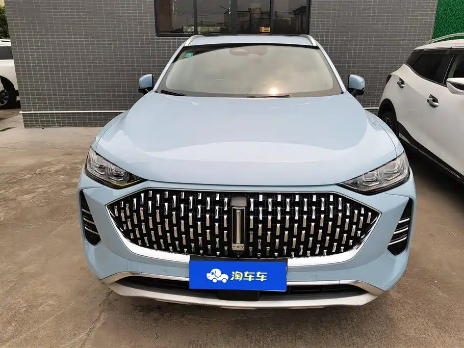 WEI PAI WEI BRAND MOCHA