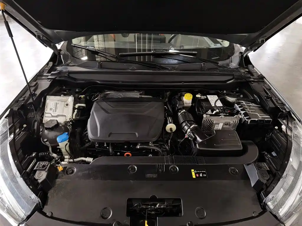 Haval Chitu 2021 Boost Edition 1.5T Platinum Rabbit фото 6