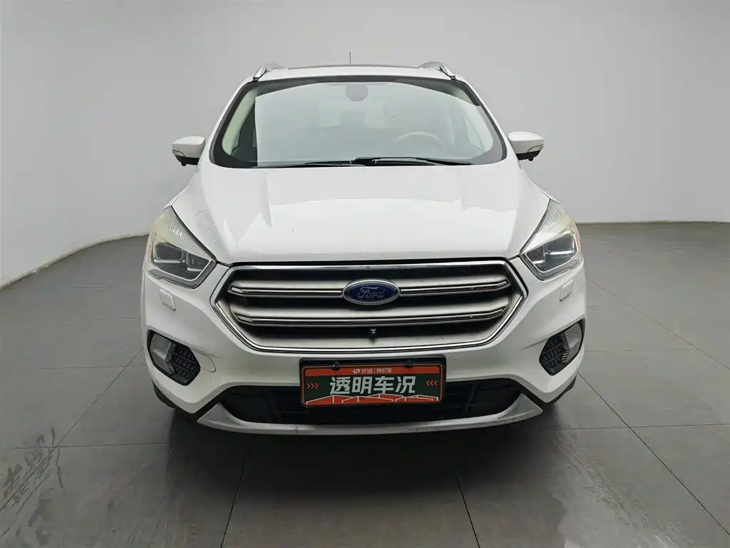 Ford Kuga 2017 EcoBoost 245 AWD Luxury фото 3