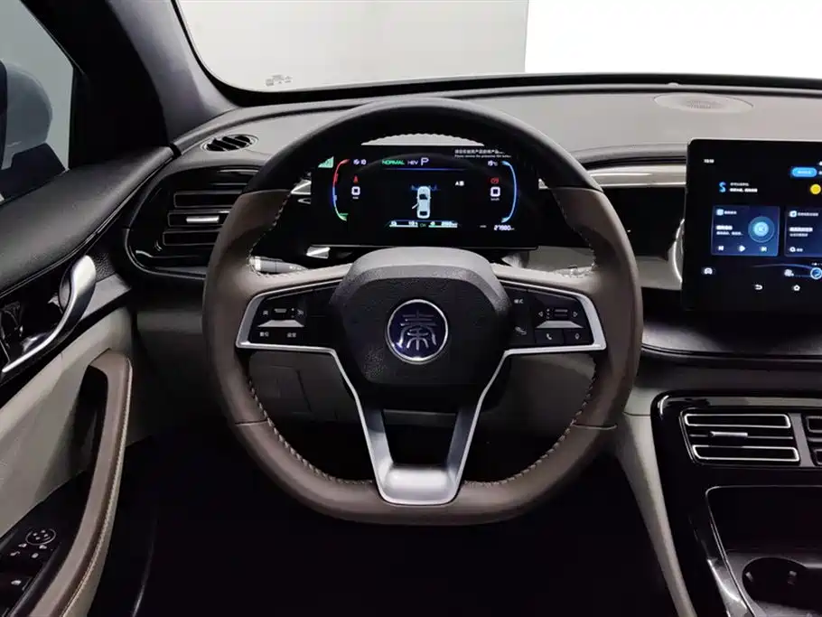 BYD Qin PLUS 2024 Glory Edition DM-i 55KM Leading фото 15