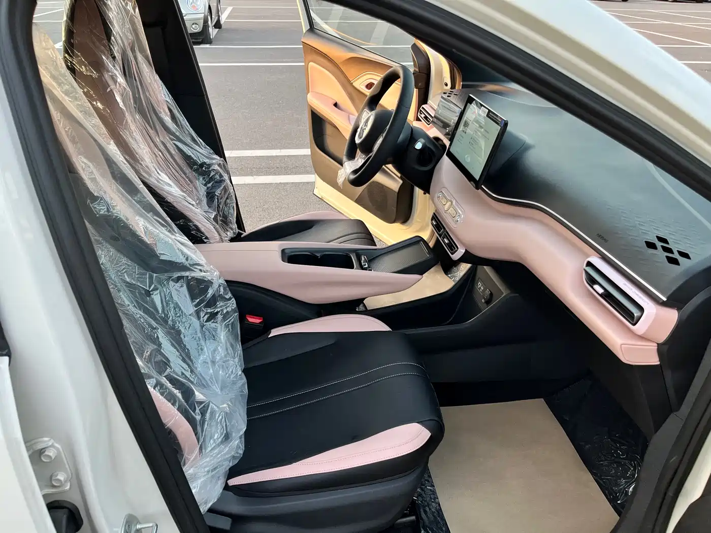 BYD Seagull 2025 Smart Drive Edition 305km Vitality Version фото 12
