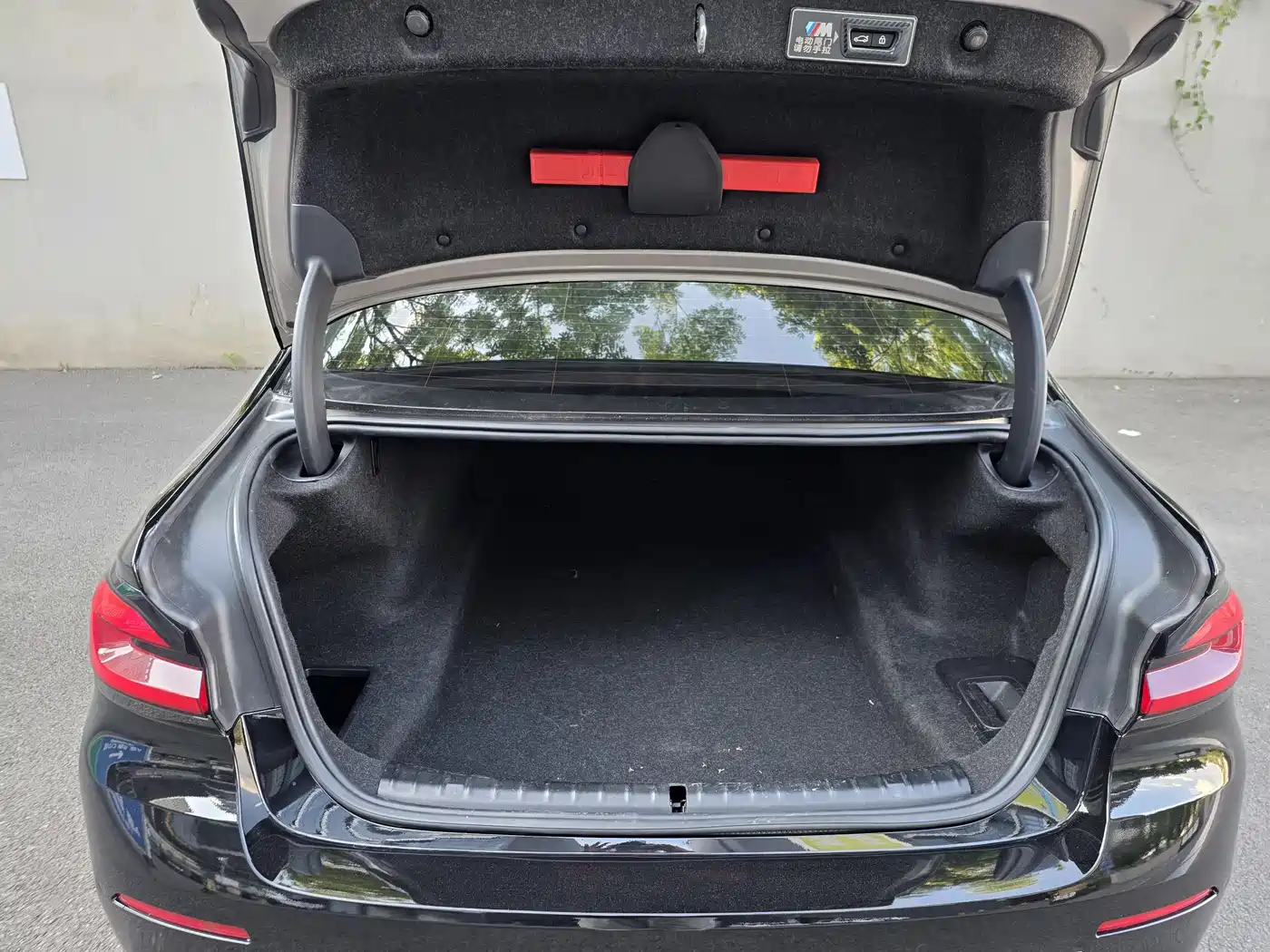 BMW 5 Series 2021 530Li Leading Luxury Package фото 40