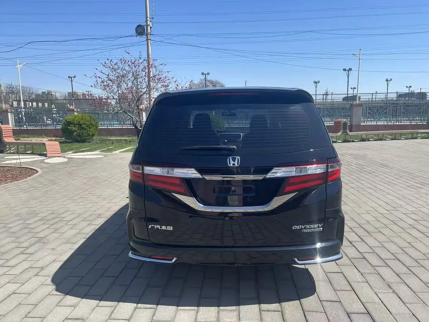 HONDA ODYSSEY