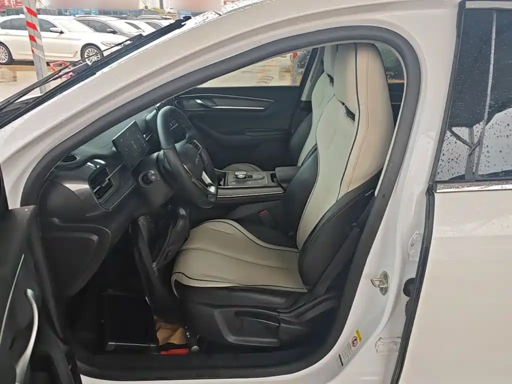 BYD Destroyer 05 2025 2024 Glory Edition DM-i 55KM Luxury