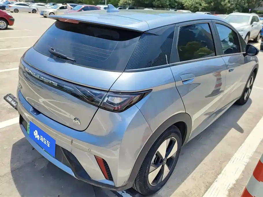 BYD Dolphin 2023 420km Fashion Edition фото 3
