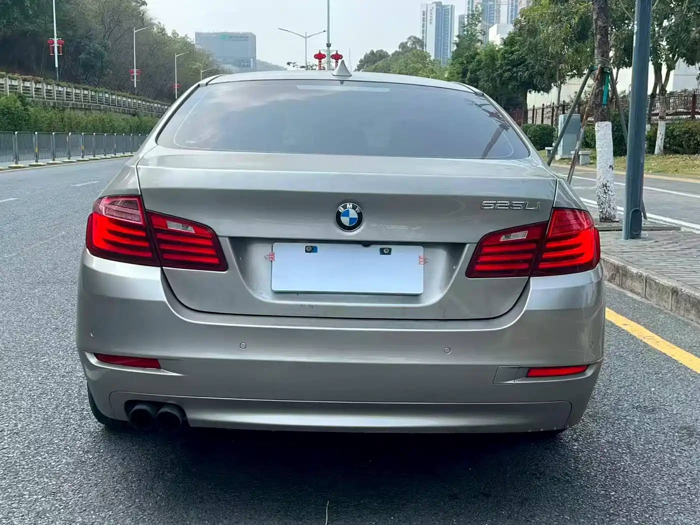BMW 5 Series 2014 525Li Leading фото 8