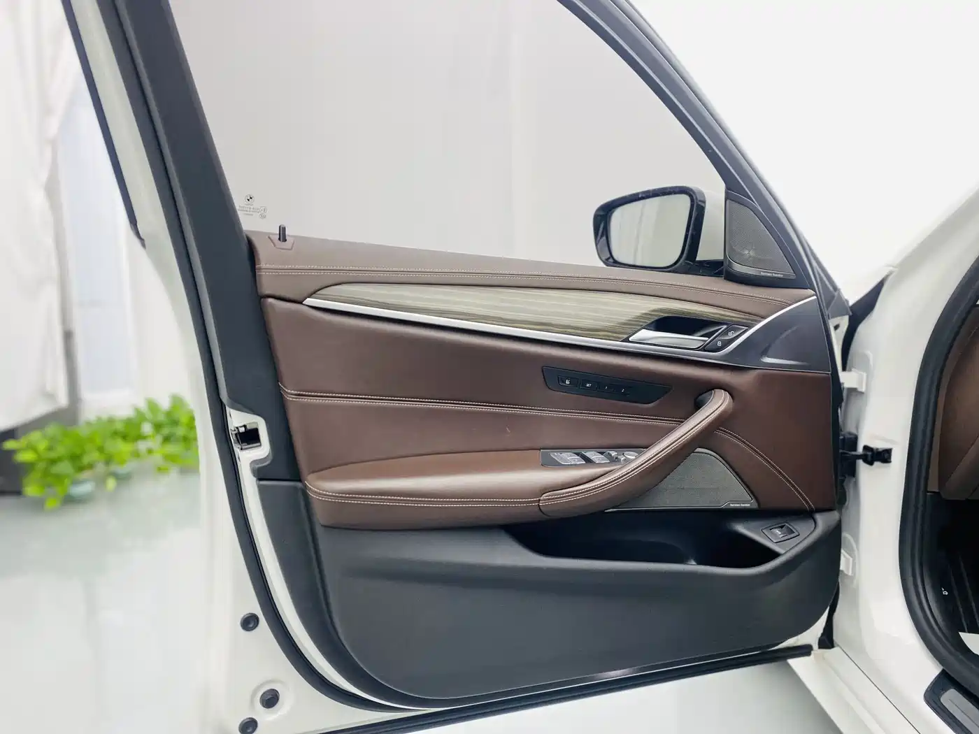 BMW 5 Series 2020 530Li Premium Luxury Package фото 18