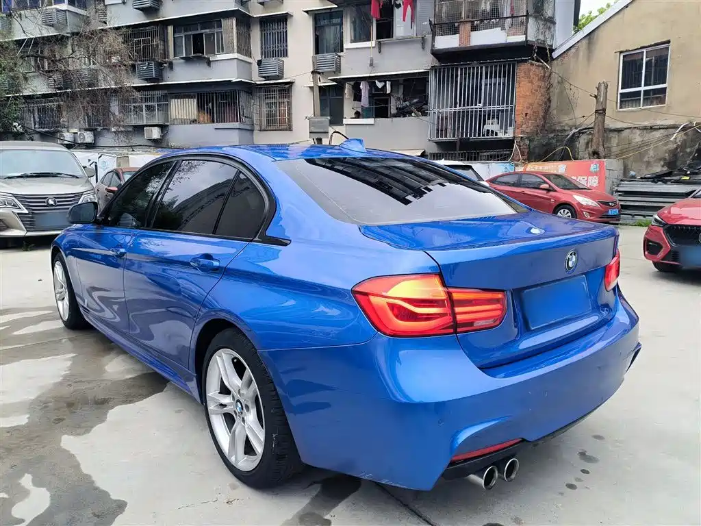 BMW 3 Series 2019 320Li M Sport Package фото 15