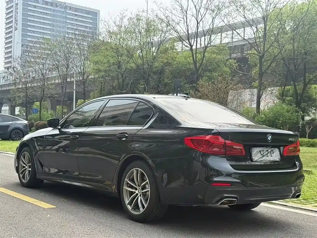 BMW 5 Series 2019 525Li M Sport Package фото 9