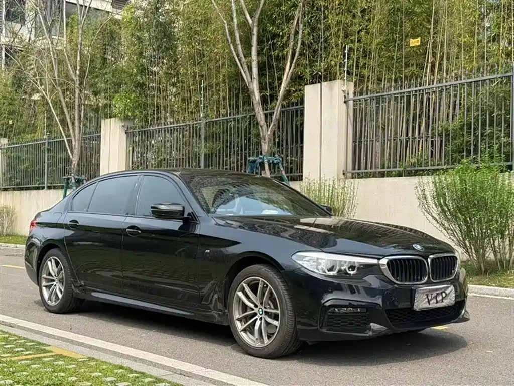 BMW 5 Series 2019 525Li M Sport Package фото 3