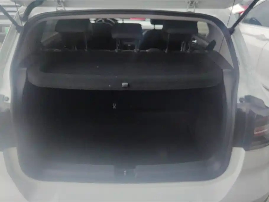 Volkswagen Tanying 2021 1.5L Automatic Smart Connect Edition фото 4