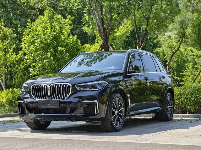 BMW X5 2022 xDrive 30Li Premium M Sport Package