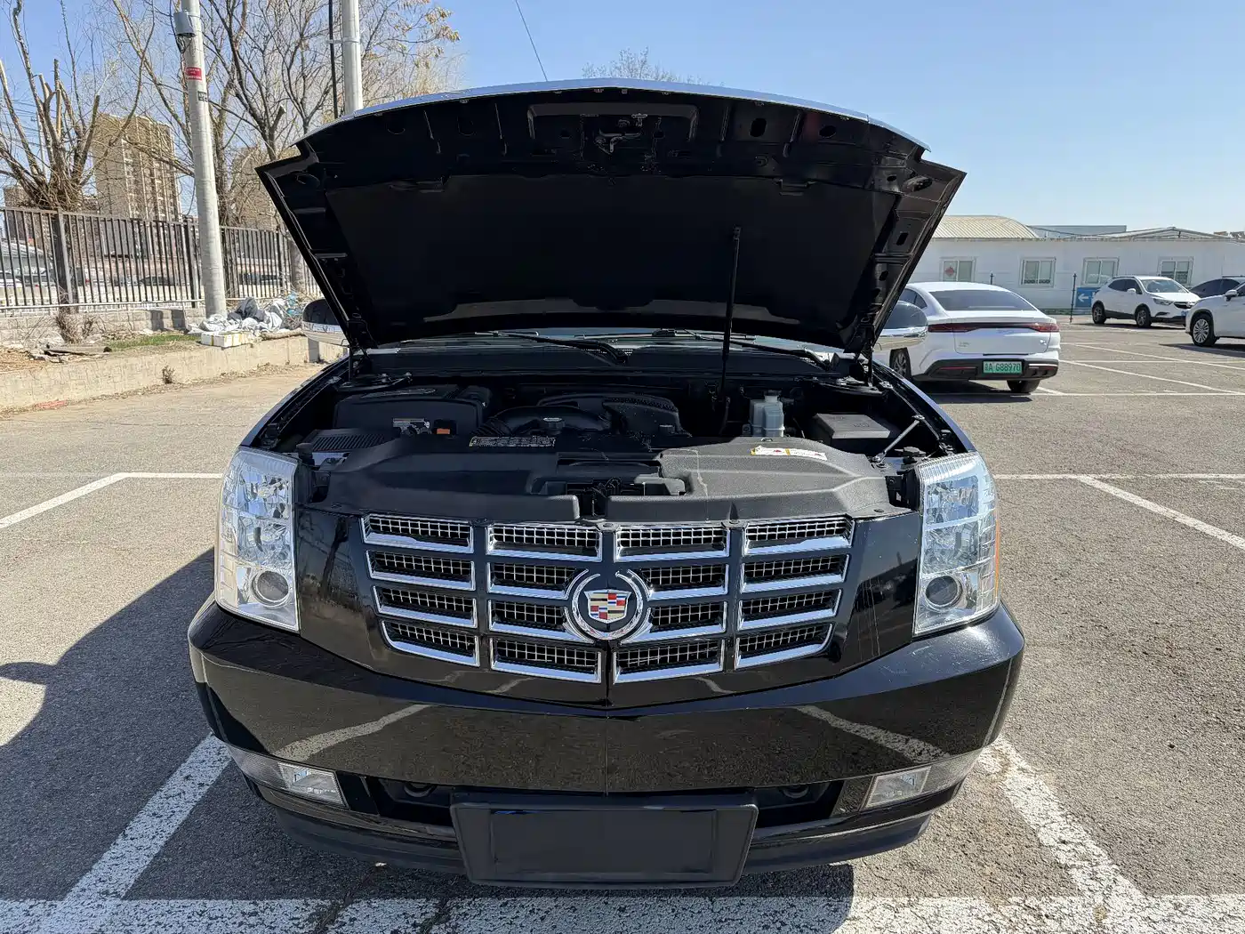 Cadillac Escalade 2010 6.0 Hybrid фото 9