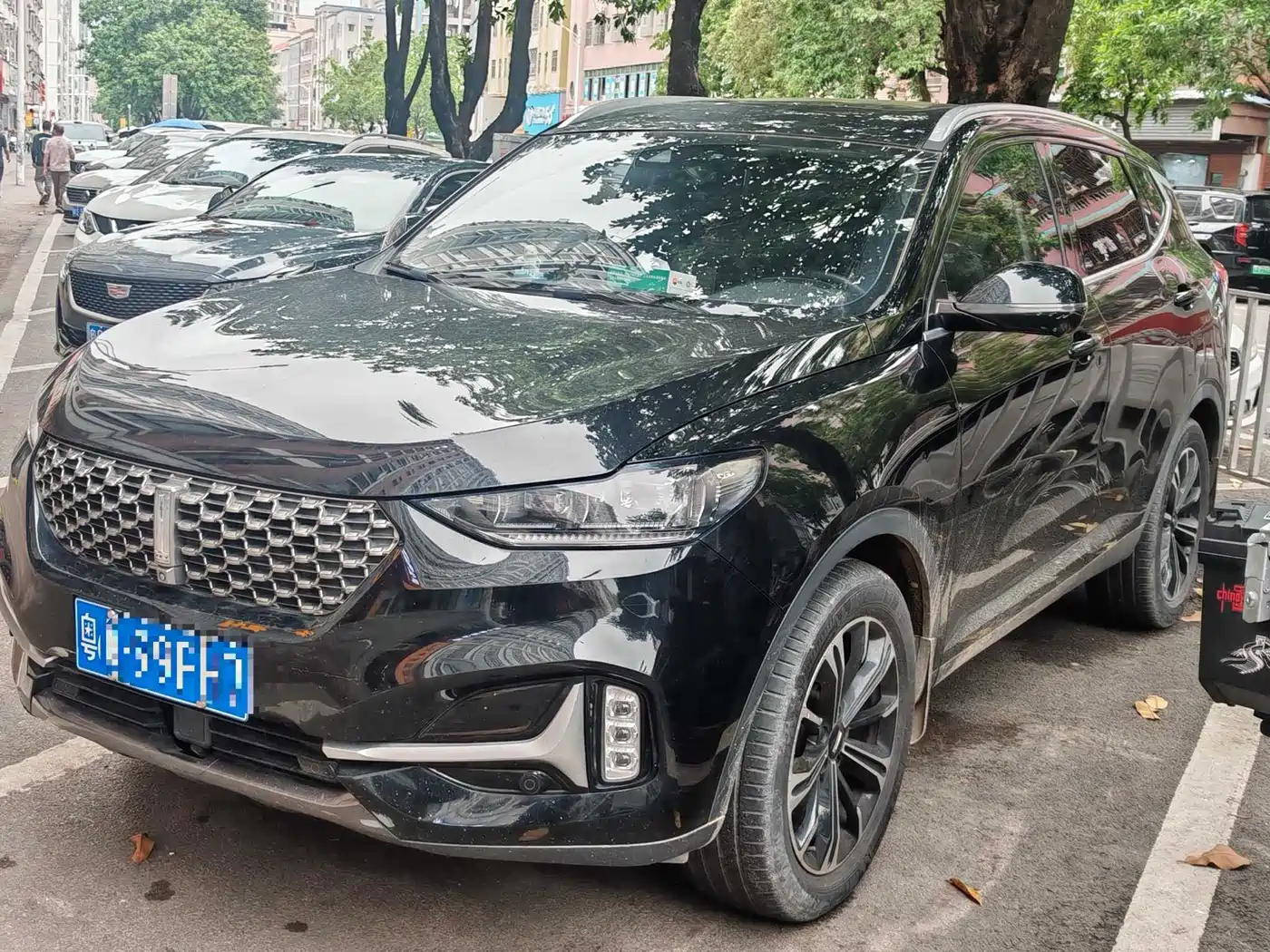 WEI PAI WEI BRAND VV6