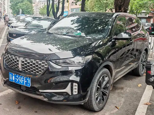 WEI PAI WEI BRAND VV6