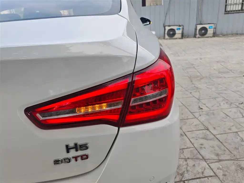 Hongqi H5 2019 30TD Smart Connect Rhythm Edition фото 8