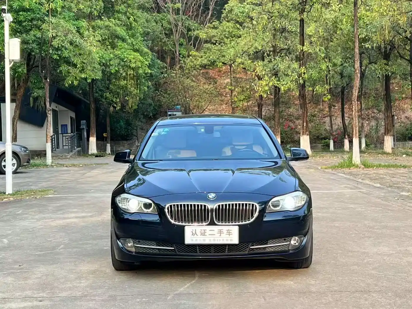 BMW 5 Series 2013 525Li Leadership фото 2