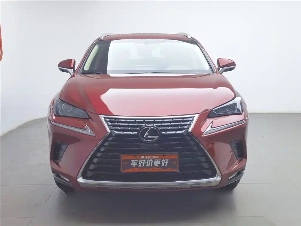 Lexus NX 2018 Model 300 FWD Fengxing Edition фото 3