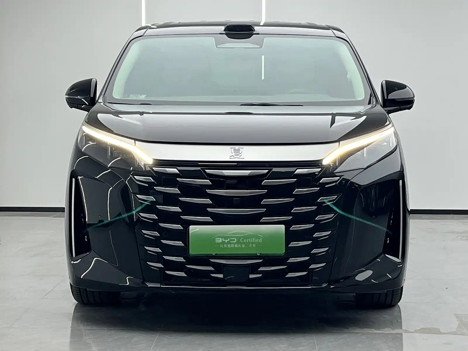 Фото 2 - BYD Xia
