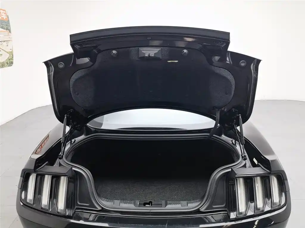 Ford Mustang 2015 2.3T Performance Edition фото 16