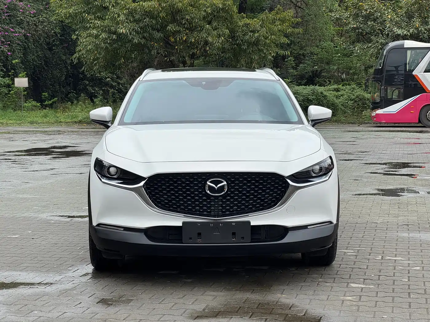  CX 30