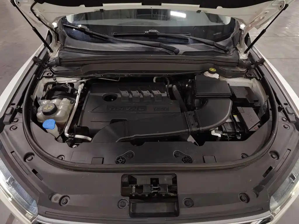 Фото 6 - Haval H4