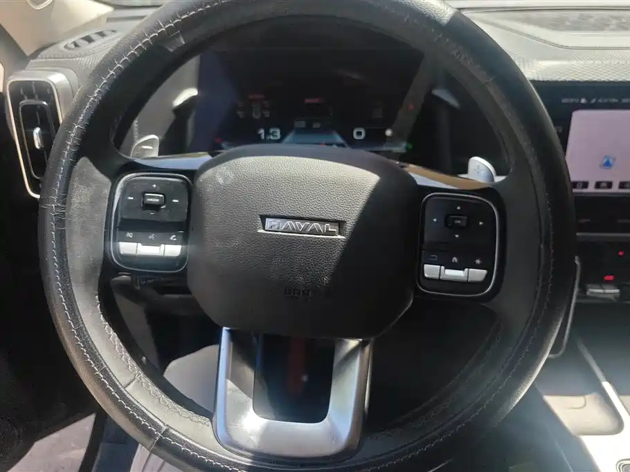 Haval Big Dog 2024 1.5T DCT Border Collie Edition фото 15