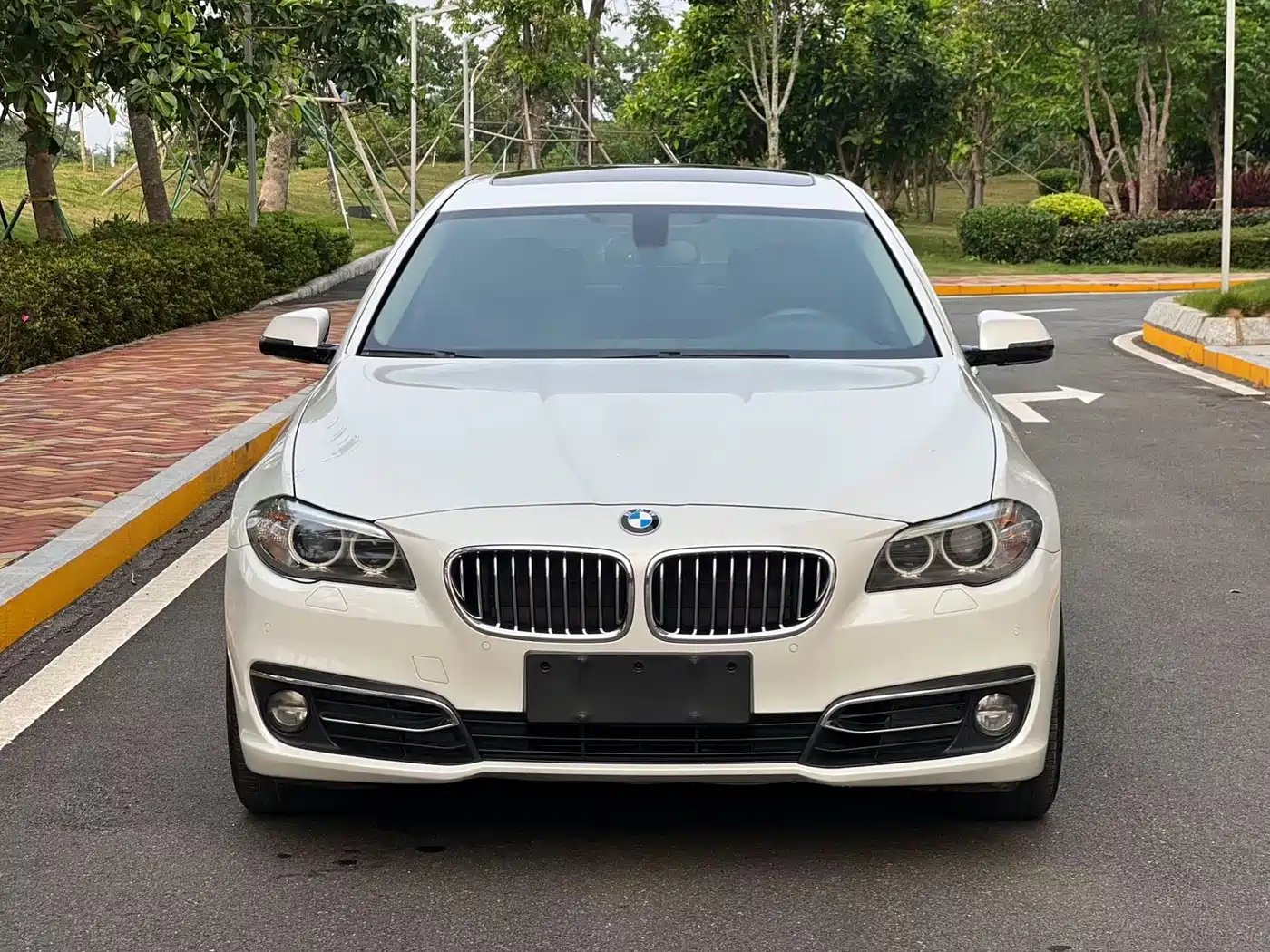 BMW 5 Series 2014 525Li Luxury Design Package фото 2